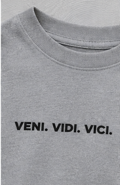 Winged Warrior: Veni. Vidi. Vici.